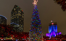Houston Christmas Lights Tours, Houston Christmas Lights Limo Tours
